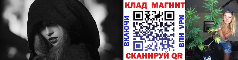 Где купить наркотики Шахунья Конопля  Меф  ТГК  ГАШ  APVP  АМФЕТАМИН 