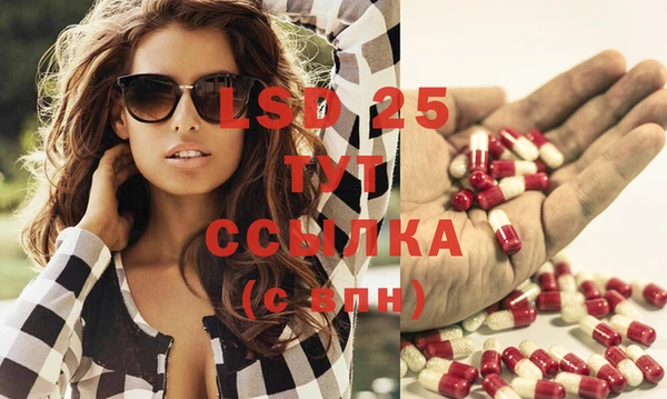 сатива Белоозёрский
