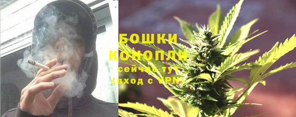 сатива Белоозёрский
