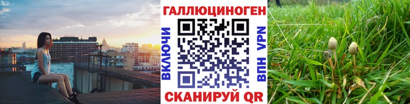 где продают   Шахунья  Галлюциногенные грибы мицелий 